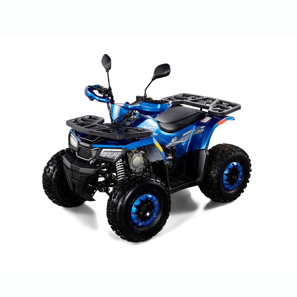 BUGGY ATV 125CC