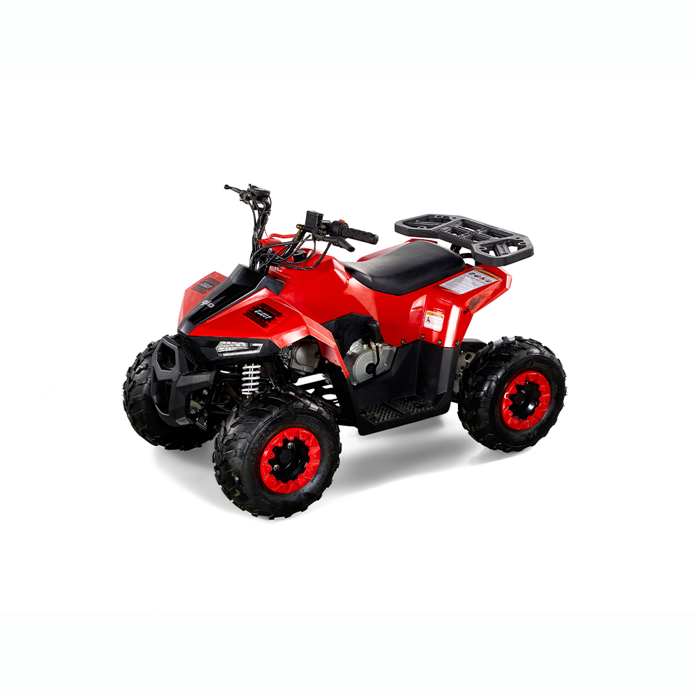 BUGGY ATV 110CC
