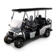 Electric Golf Car